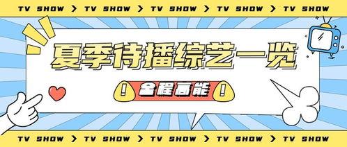 娱乐吃瓜营销号,明星幕后那些事儿,吃瓜群众必看!