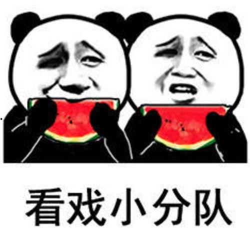 娱乐吃瓜图片表情包,笑翻你的日常!